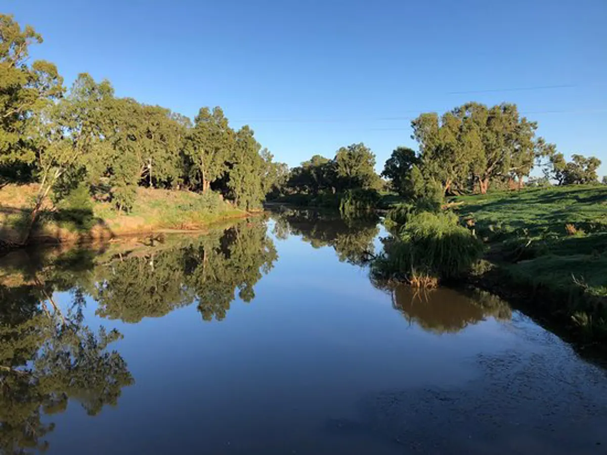 Insert image caption here!